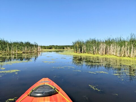 Kayak on the wayer