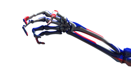 claw-shaped skeleton hand with the colors of the flag