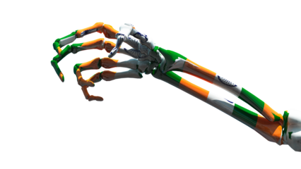 claw-shaped skeleton hand with the colors of the flag