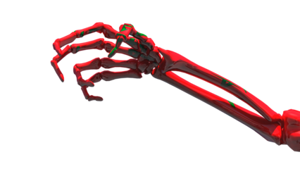 claw-shaped skeleton hand with the colors of the flag
