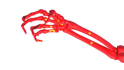 claw-shaped skeleton hand with the colors of the flag