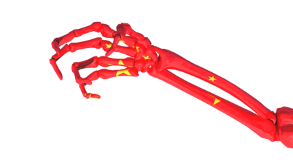 claw-shaped skeleton hand with the colors of the flag