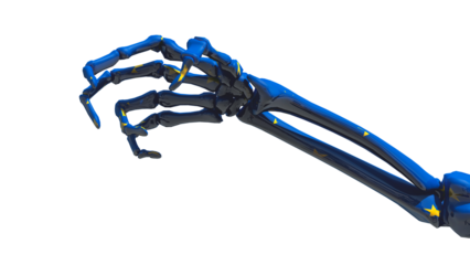 claw-shaped skeleton hand with the colors of the flag