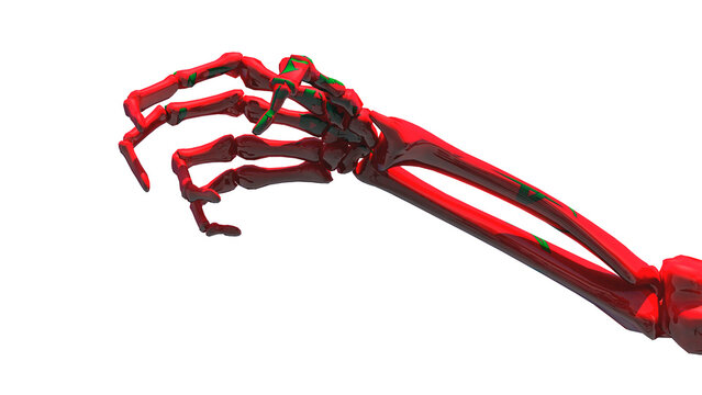 claw-shaped skeleton hand with the colors of the flag