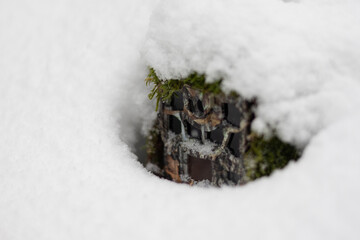 Camera trap covered in snow during wintertime. Game cam with infrared illumination hidden under...