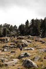 Fototapeta na wymiar Joven haciendo senderismo en la montaña de Andorra al atardecer. Mochila, chaqueta. Viajando.