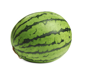 Big watermelon with green striped rind isolated on white