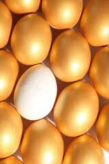 Ordinary chicken egg among golden ones on white background, top view