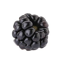 One tasty ripe blackberry isolated on white