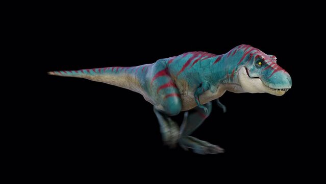 Dinosaur Tyrannosaurus Run and Roar Loop Alpha