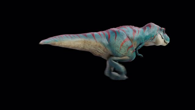 Dinosaur Tyrannosaurus Run and Roar Loop Back View Alpha Shadow