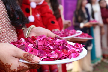 red rose petals