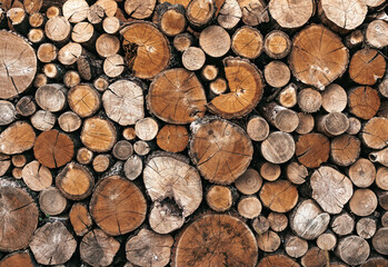 Rustic background with a circle firewood logs stacked in a wall.