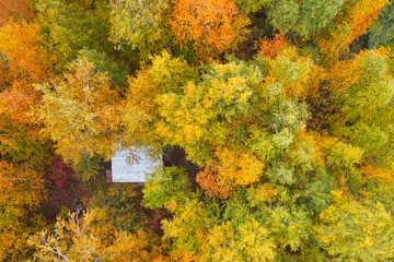 Aerial view of the autumn colorful forest with an abandoned forester house among the trees....