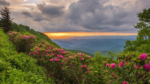 Craggy Gardens, North Carolina, USA
