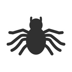 Black spider silhouette for Halloween design.