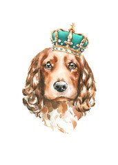 Watercolor Cocker Spaniel illustration, cute dog breed, hipster portrait,funny character, cartoon dog in costume,clothes, accessories, hat, poster, card, invite, print,printable, flyer,it's a boy,diy 