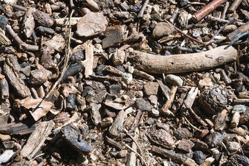 dépos du lac sur la plage