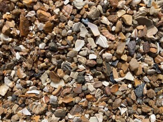 Mussel shells, sand and gravel as substrate