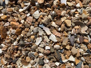 Mussel shells, sand and gravel as substrate