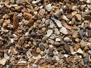 Mussel shells, sand and gravel as substrate