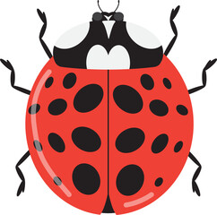 Lady Bug Vector