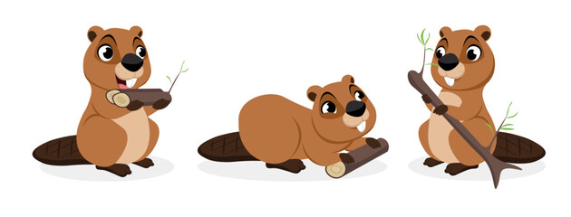 Vector illustration of cute and beautiful beavers on white background. Charming characters in different poses brought sticks, eats, stands satisfied with branches in cartoon style.