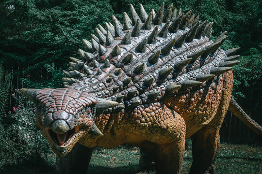 Ankylosaurus Images – Browse 5,591 Stock Photos, Vectors, and Video | Adobe  Stock