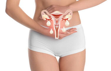 Woman holding virtual image of female reproductive system on white background. Vaginal yeast...