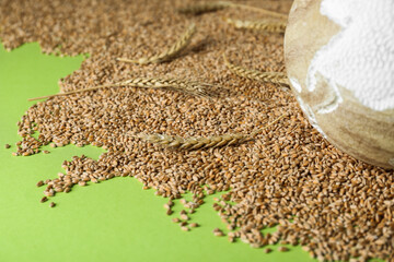 Globe and grains on light green background. Space for text. Hunger crisis concept