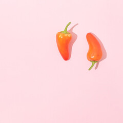Two orange hot chili peppers on bright pink background. Minimal spicy food composition. Healthy vegetables fun idea.