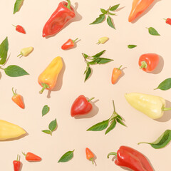 Trendy layout made of various fresh peppers and leaves on bright beige background. Organic ripe healthy vegetables composition. Autumn food creative aesthetic. Flat lay.