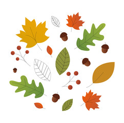 warm and colorful autumn illustrations. leaves and berries, acorns and thin branches