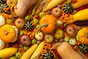 Autumn harvest concept. Top view photo of raw vegetables pumpkins gourds pattypans peppers zucchini maize apples pears walnuts acorns physalis wheat and rowan on isolated orange background