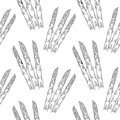 Linear Asparagus seamless pattern. Asparagus Seamless pattern, background for print. vector illustration.