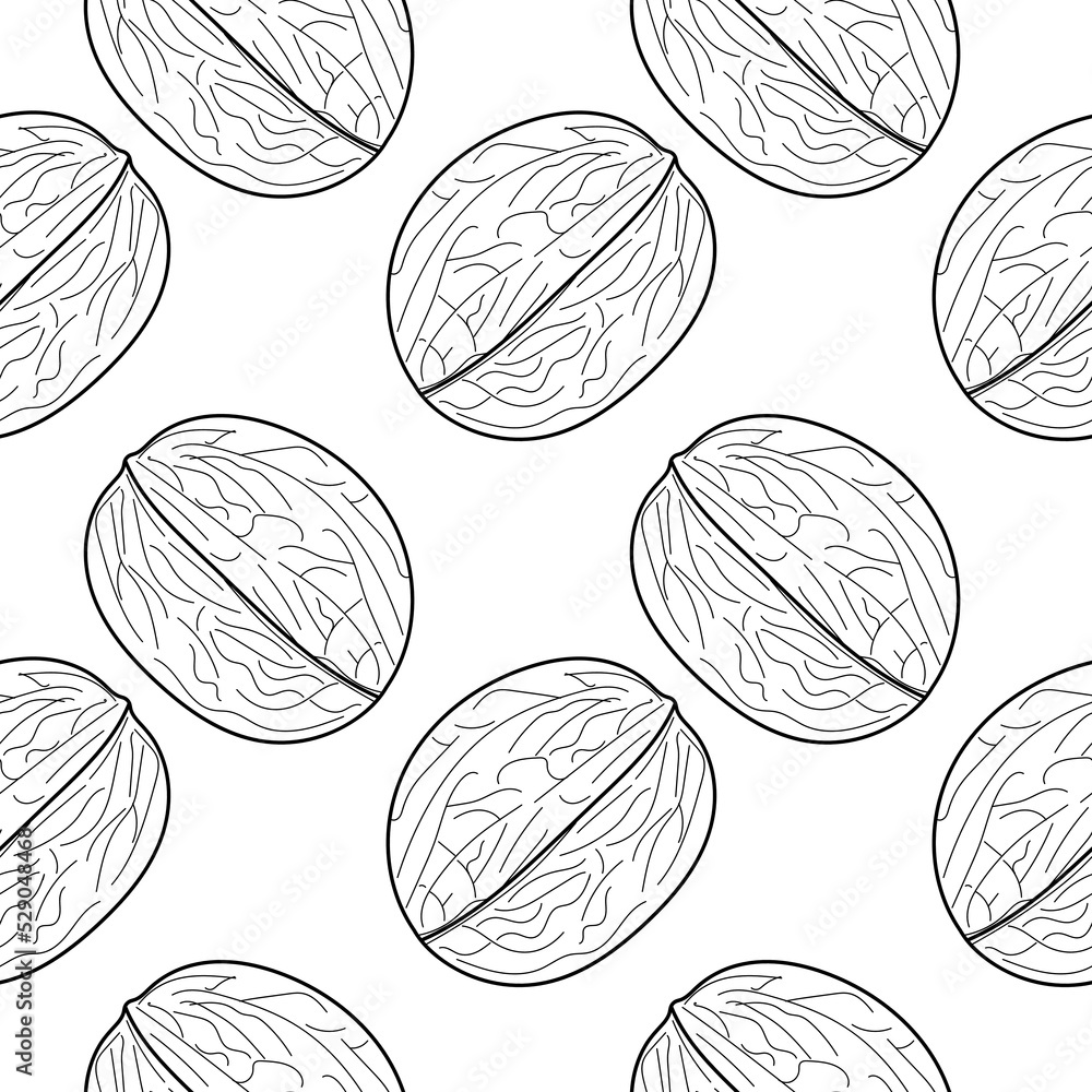 Poster walnut seamless pattern. linear walnut seamless pattern, background for print. nut background. vecto