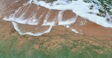Foam waves and sand.Emerald waves from algae on a windy day