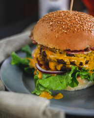 Double Cheeseburger close-up