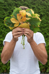 Mann hält Herbstblätter in den Händen vor grünen Hintergrund