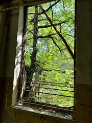 lost place, verlassen, leerstehend, alt, bauwerk, fabrik, innenausstattung, architektur, lager, gewerblich, schutt, ausgehöhlt, raum, beschmutzen, grunge, stahl, dark, ruine, wald, baum, natur, sonnen