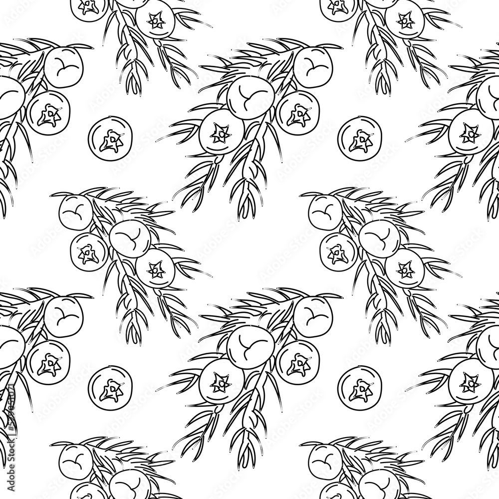 Poster juniper seamless pattern. linear juniper seamless pattern, background for print. vector illustration