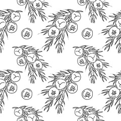 Fototapeta premium Juniper seamless pattern. Linear Juniper Seamless pattern, background for print. vector illustration.