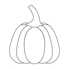 Pumpkin with a black outline. Vector illustration of a hand-drawn pumpkin on a white background. An element for autumn decorative design, an invitation for Halloween.Pumpkin Icon White Background 