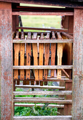 Fototapeta na wymiar Old wooden frames for bees are exposed to dry.