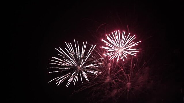 Festive patterned firework bursting in various shapes 