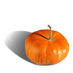 Isolated pumpkin with shadow. Autumn, fall, halloween concept.