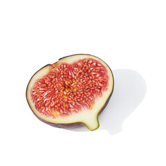 Fresh fig on white background