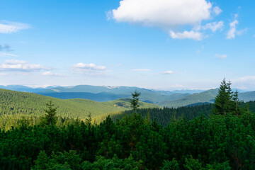 Obraz na płótnie Canvas Forest in the mountains with blue sky
