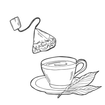Cup with tea bag hand drawn outline doodle icon. Hot drink - tea cup vector sketch illustration for print, web, mobile and infographics isolated on white background.