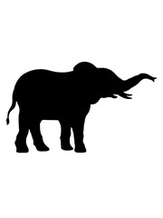Elefant cool Silhouette Design 
